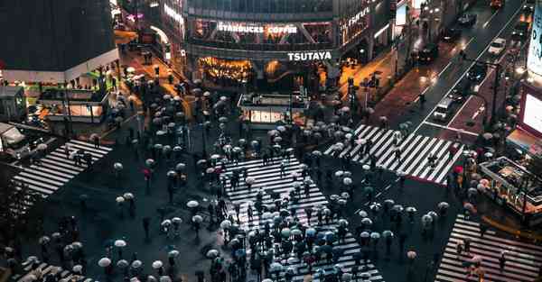 2024年农历一月出生的属兔宝宝内涵优秀名字大全